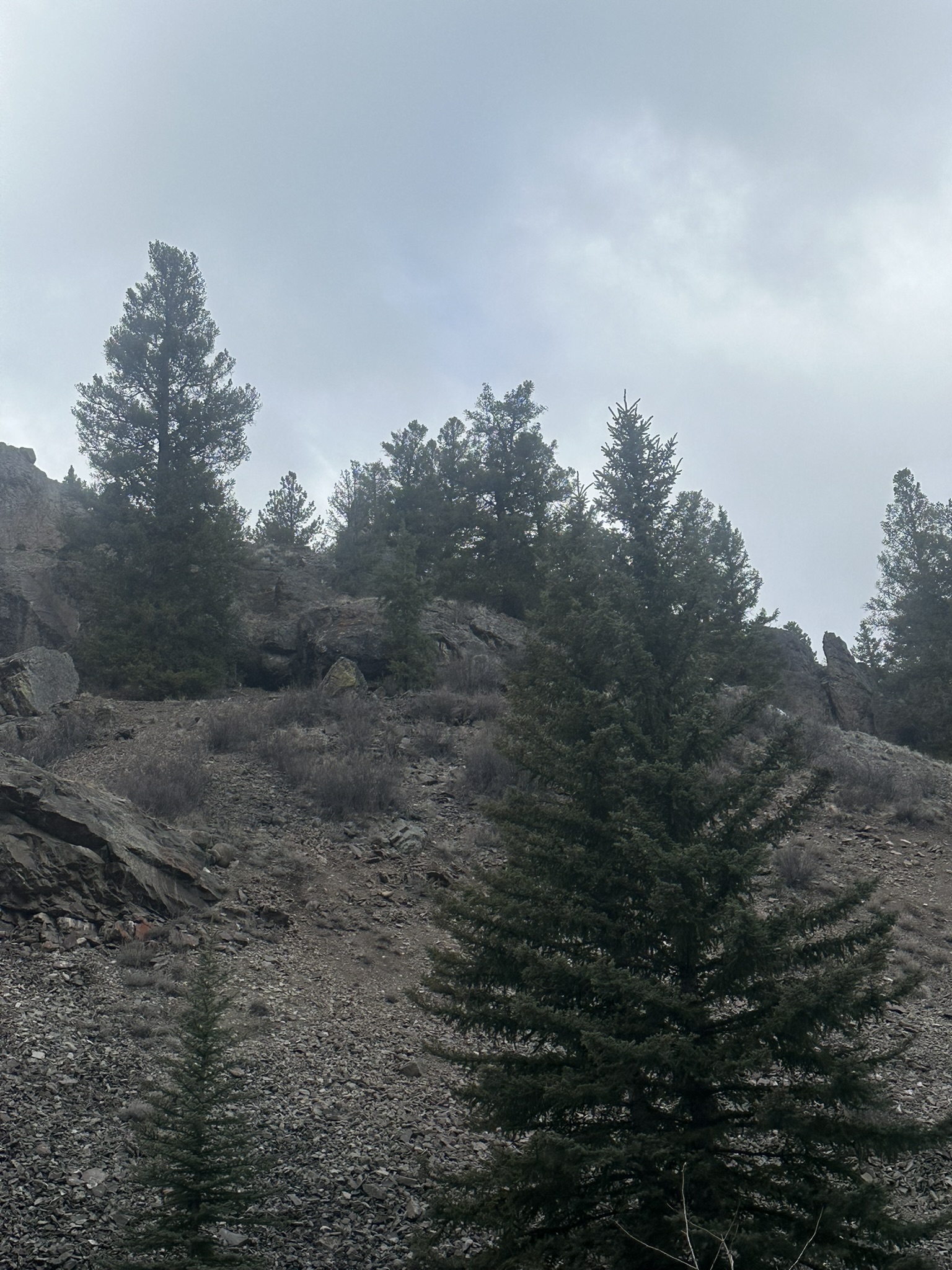 United States-National Parks-Other - Image 2676